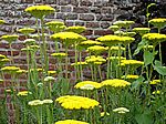 Herstmonceux Castle Garden