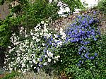 Sissinghurst Garden