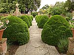 Tintinhull House / Garden bei Yeovil